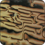 �l�}�`�b�N�t���� �摜